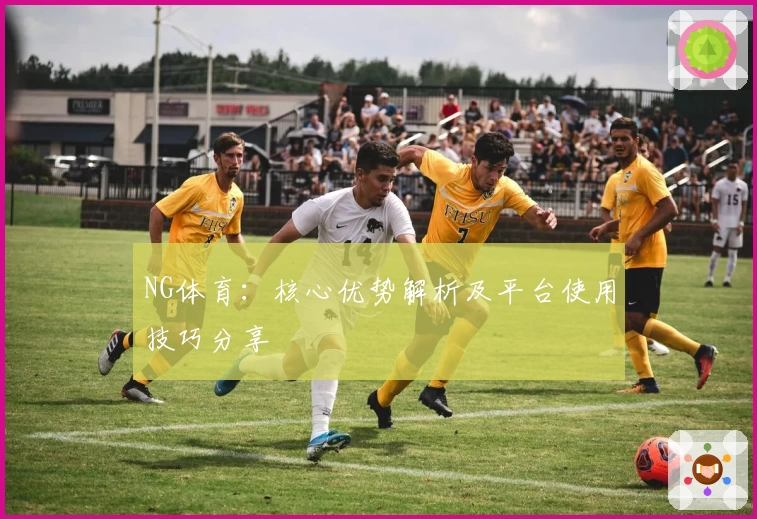 NG体育：核心优势解析及平台使用技巧分享