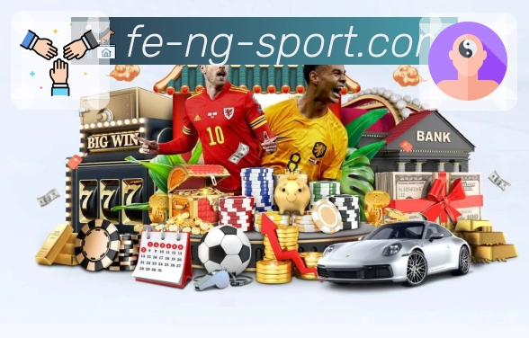 NG体育平台生态图